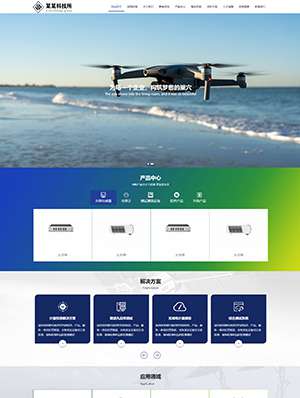 某某科技公司 0447